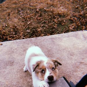 Meet your Posher, Reese